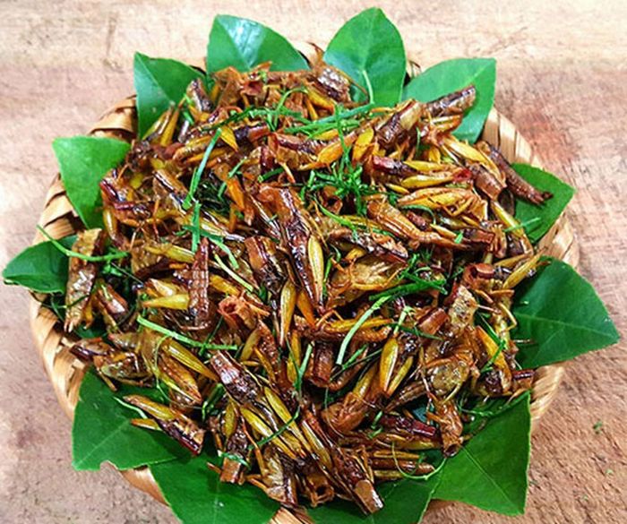 Muồm muỗm rang Mường Lò - Đặc sản nổi tiếng của Yên Bái 7