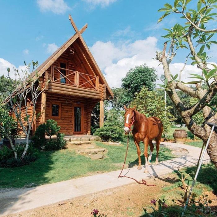 Trải nghiệm cuộc sống nông thôn tại Greenfield Farmstay