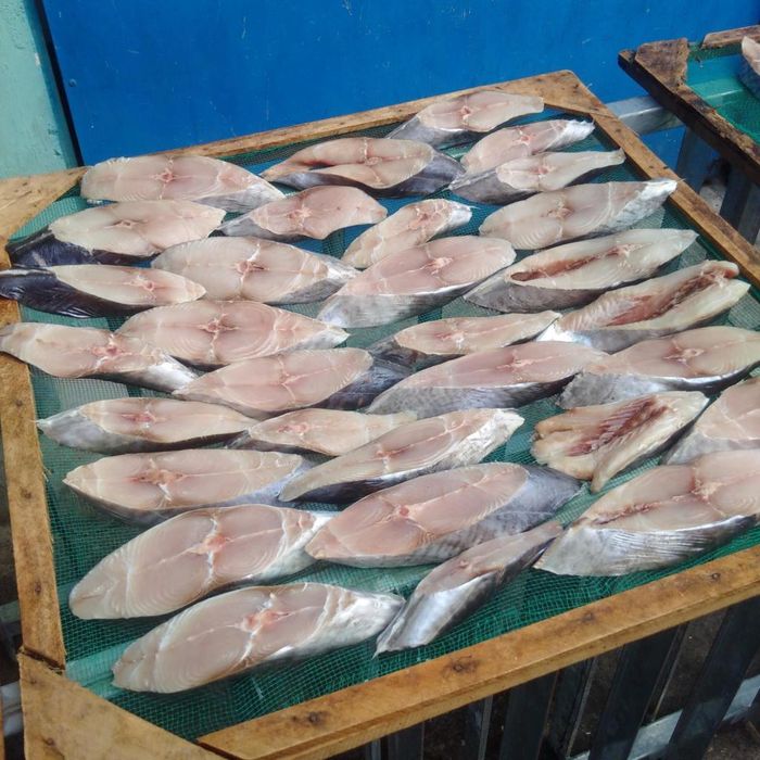 Cá ngừ một nắng Vũng Tàu - Món đặc sản biển với những ứng dụng không ngờ