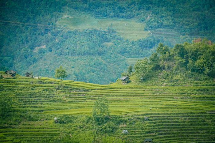 Một trong những thách thức lớn nhất là chinh phục Háng Tề Chơ