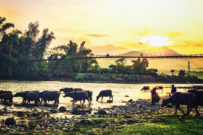 Hướng dẫn di chuyển đến Nghĩa Lộ và khám phá văn hóa địa phương? 2