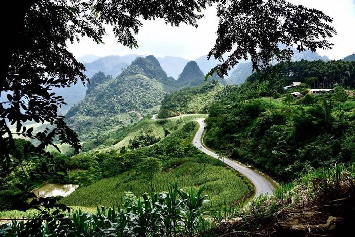 Khám phá Khu bảo tồn thiên nhiên Nà Hẩu 4