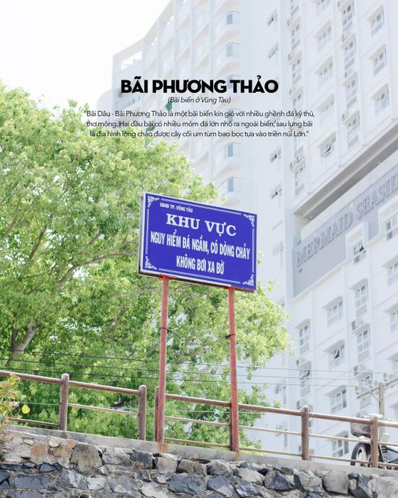 Bãi Dâu Vũng Tàu không chỉ có những con hẻm dễ thương, mà còn đầy những điều đáng yêu khác nữa.