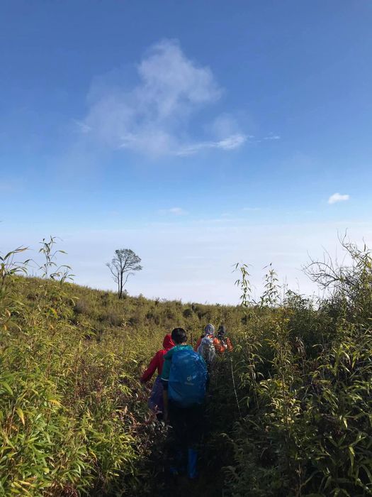 Chương trình trekking Tà Xùa 3 ngày 2 đêm - 72 giờ leo núi săn mây phiên bản 6