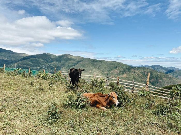 3 ngày trekking chinh phục Tà Xùa - Trải nghiệm không thể quên