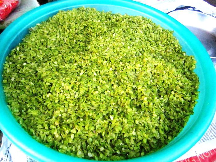 Nếp Tú Lệ - Món quà giản dị từ vùng Mường Lò gửi đến bạn bè ở miền dưới 7
