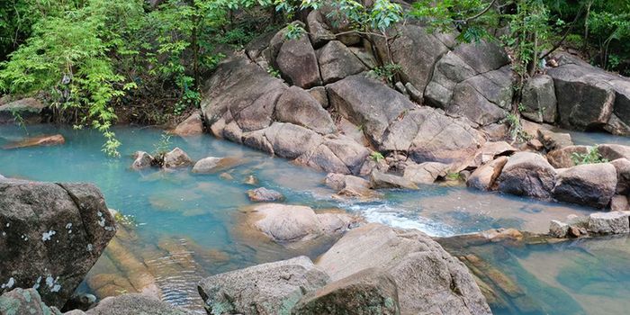 Núi Dinh Vũng Tàu: Điểm đến đặc biệt cho chuyến trekking đầu tiên
