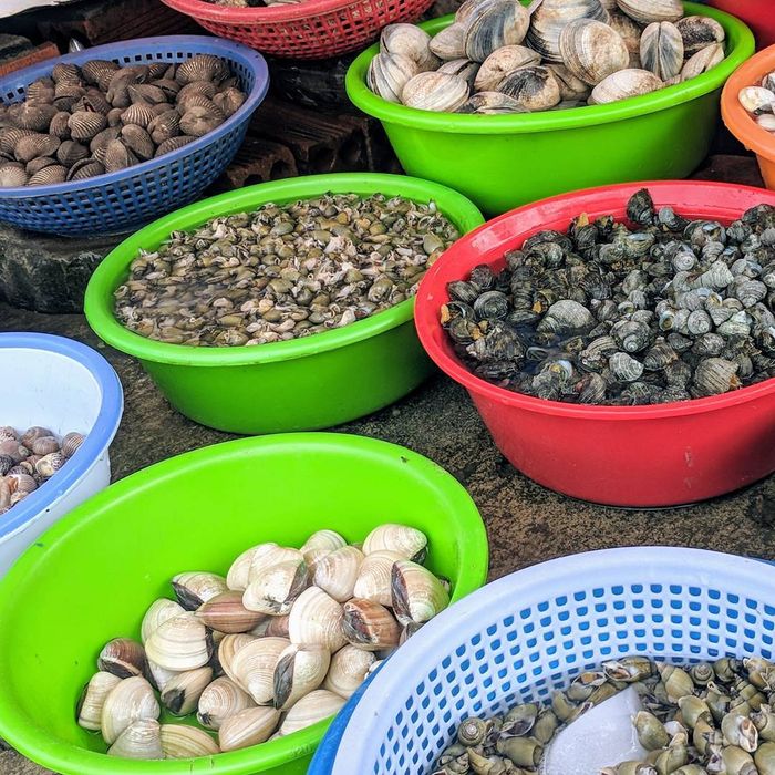 Đừng bỏ lỡ 9 địa chỉ vàng mua hải sản tươi sống Vũng Tàu cho những người đam mê ẩm thực.