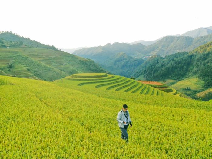 Đồi Mâm Xôi La Pán Tẩn - Điểm check-in nổi tiếng nhất ở Yên Bái 3
