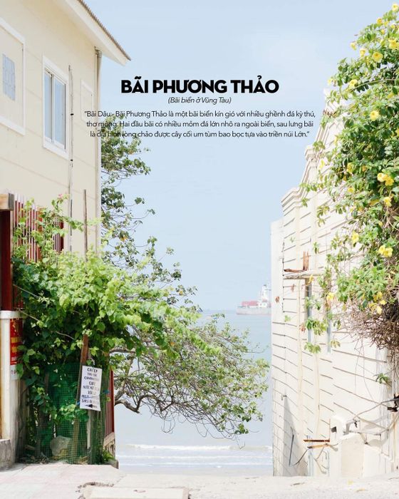 Bãi Dâu Vũng Tàu không chỉ có những con hẻm dễ thương, mà còn nhiều điều thú vị khác.