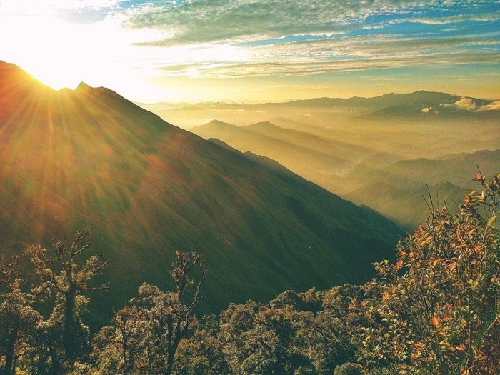 Đánh giá trekking Tà Chì Nhù cực kỳ ấn tượng từ chàng trai Duong Nguyen lần thứ ba