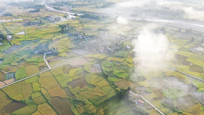 Cánh đồng Mường Lò - Nét đẹp đặc trưng của vùng đất Nghĩa Lộ