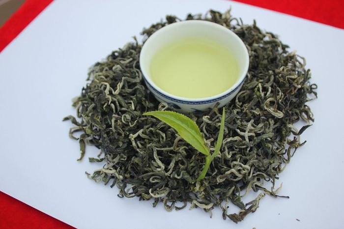 Mỗi năm, chè Shan Tuyết được thu hoạch trong 3 mùa vụ