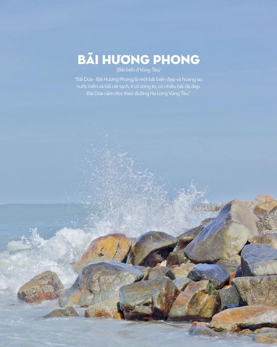 Nhìn ngang, nhìn dọc nhớ nhớn mấy điều dễ thương tại Bãi Dứa Vũng Tàu 7