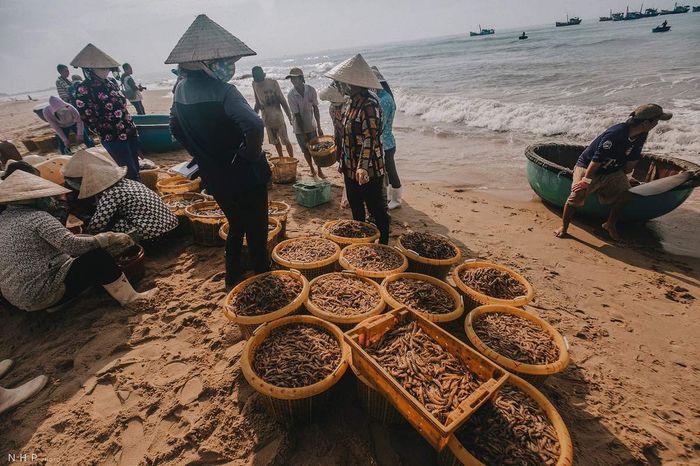 Cuộc sống sáng sớm tại cảng cá Bà Rịa - Vũng Tàu qua ống kính của nhiếp ảnh gia Nguyễn Hoàng Phi 12
