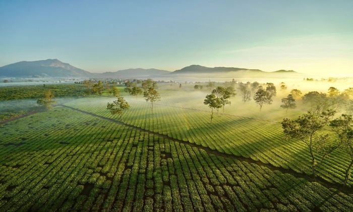 Khám phá Biển Hồ Chè giữa không gian rộng lớn của cao nguyên 7