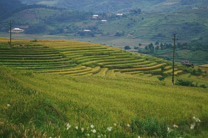 Kinh nghiệm du lịch Tú Lệ 2024 và hành trình khám phá Tây Bắc