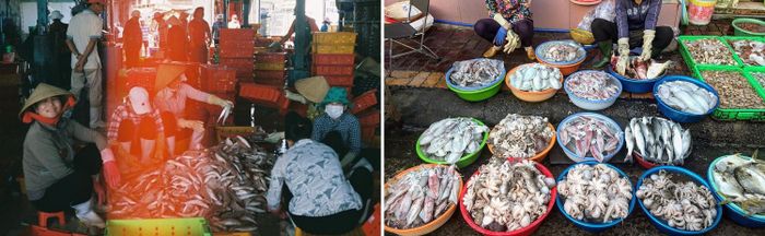 Thuộc lòng top 5 chợ hải sản Vũng Tàu để chứng minh sự hiểu biết về ẩm thực ngon lành! 6