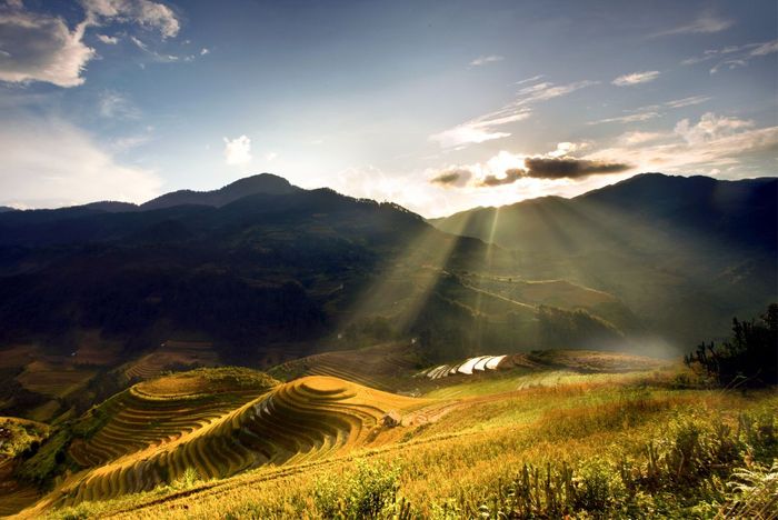 Ruộng bậc thang La Pán Tẩn - Rực rỡ mùa vàng lần 6