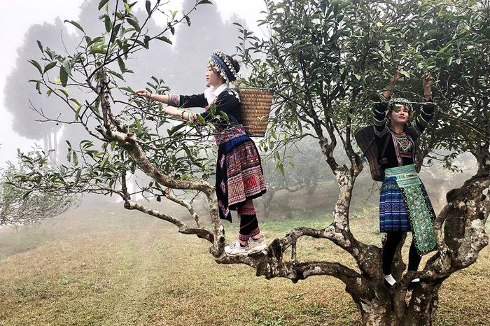 Kinh nghiệm tự túc khám phá Suối Giàng cho người mới