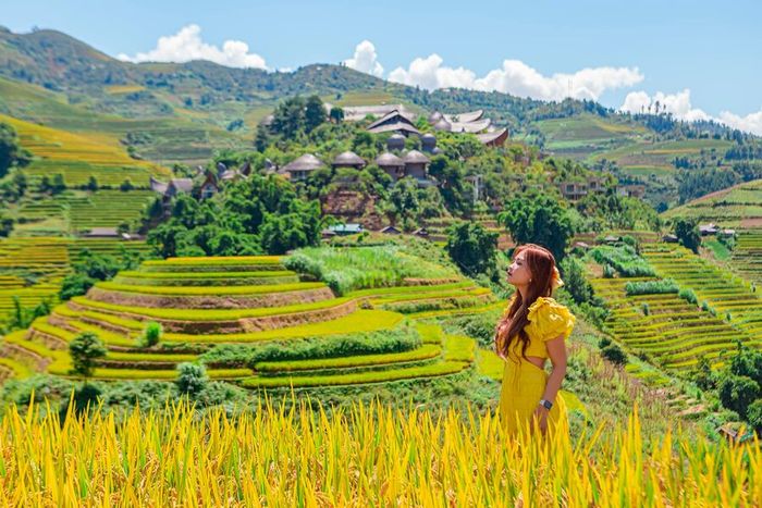 Khám phá vẻ đẹp lúa Mù Cang Chải không thể bỏ qua khi đến với Yên Bái