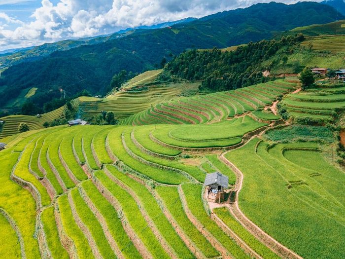 Khám phá Đồi Móng Ngựa, không gian thiên nhiên thanh bình tại Mù Cang Chải 5