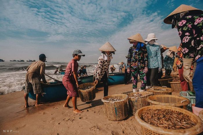 Cuộc sống sáng sớm tại cảng cá Bà Rịa - Vũng Tàu qua ống kính của nhiếp ảnh gia Nguyễn Hoàng Phi 14