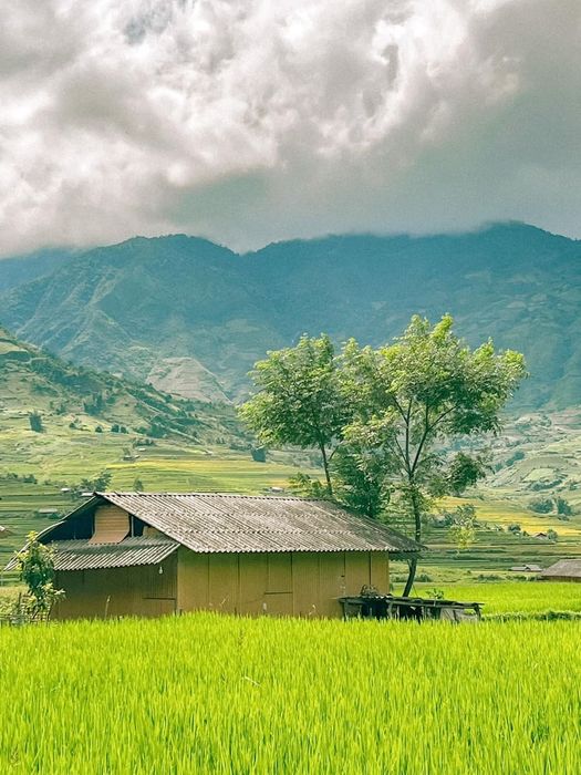 Đánh giá Mù Cang Chải 2N2Đ tiết kiệm cùng bạn Chu Đức Giang - Phần 6