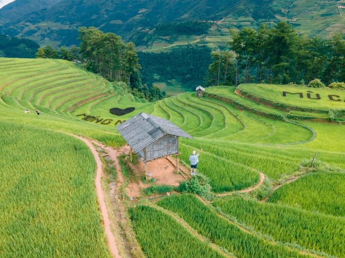 Khám phá Đồi Móng Ngựa, không gian thiên nhiên thanh tao tại Mù Cang Chải 4
