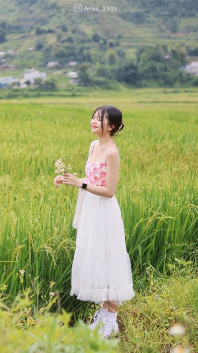 Đánh giá chuyến đi Mù Cang Chải và hành trình khám phá mùa vàng của bạn Hiền Mai 6