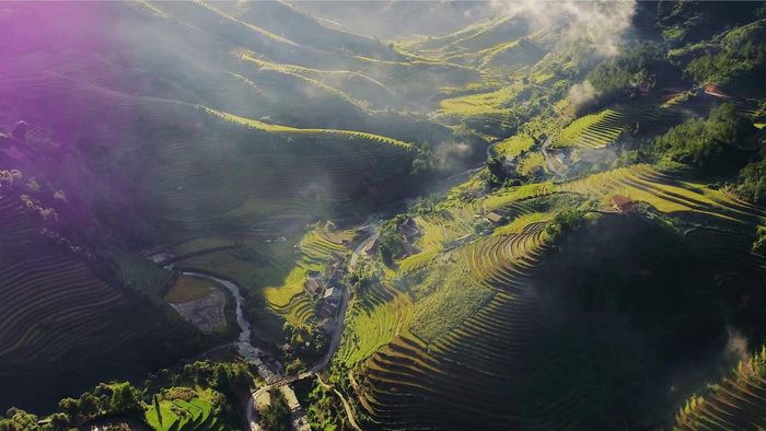 Đánh Giá La Pán Tẩn - Khám phá vẻ đẹp ruộng bậc thang mùa vàng 8