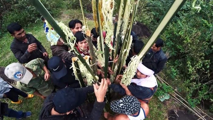 Khu dự trữ sinh quyển Kon Hà Nừng, món quà quý từ Mẹ Thiên Nhiên 4