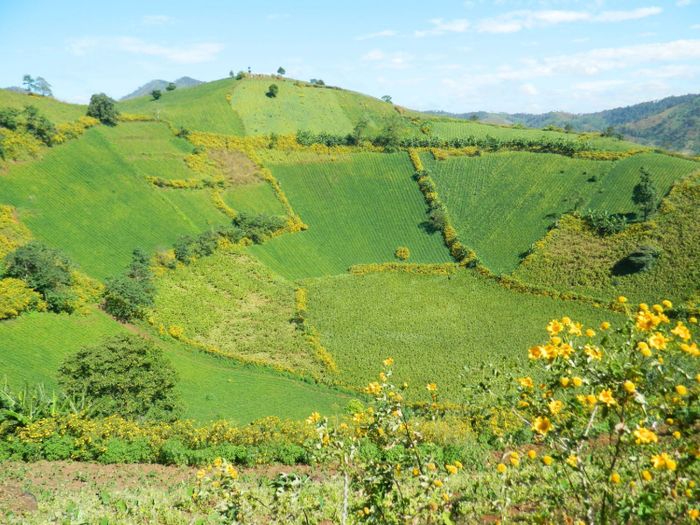 Những điểm cắm trại lý tưởng ở Gia Lai