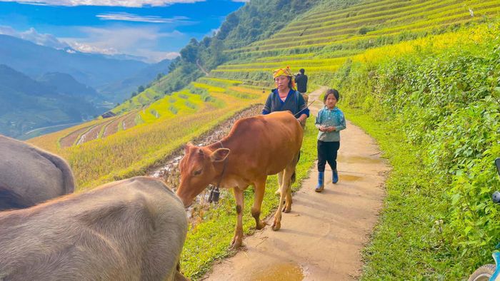 Khám phá Vẻ đẹp cuốn hút của Ruộng bậc thang Mù Cang Chải 6