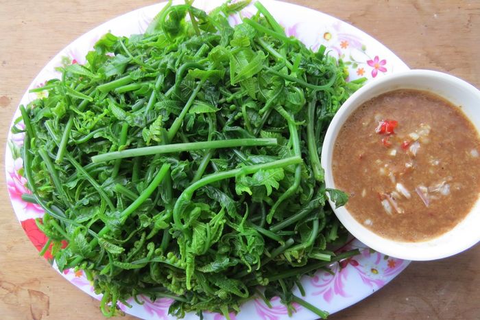 Hương vị đặc trưng của Rau dớn Mường Lò trong vùng núi Tây Bắc