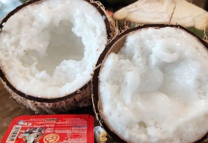 Đặc sản dừa sáp tại Trà Vinh và cách chế biến theo phong cách miền Tây