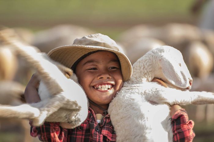 Kinh nghiệm thú vị tại đồi cừu Vũng Tàu - Nơi những bức ảnh sống động ra đời 4