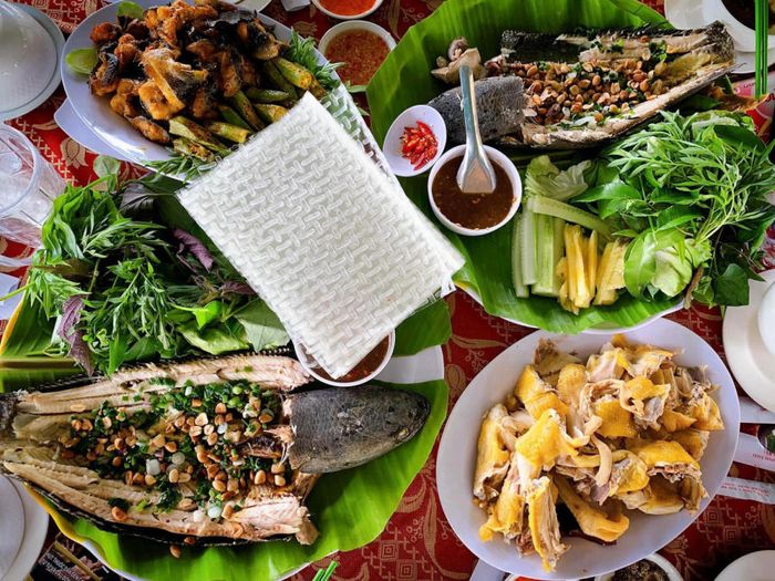 Khám phá Khu sinh thái dã ngoại Suối Giàu - điểm nóng ở Châu Đức