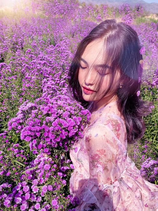 Một không gian tím mộng mơ nhẹ nhàng trải dài với sắc hoa thạch thảo ở Vũng Tàu 11