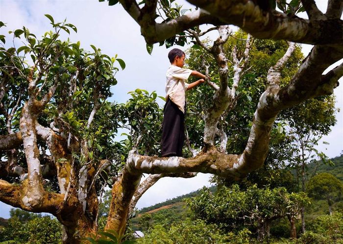 Tận hưởng trọn vẹn cảnh đẹp của Suối Giàng và những hoạt động văn hóa độc đáo tại đây.