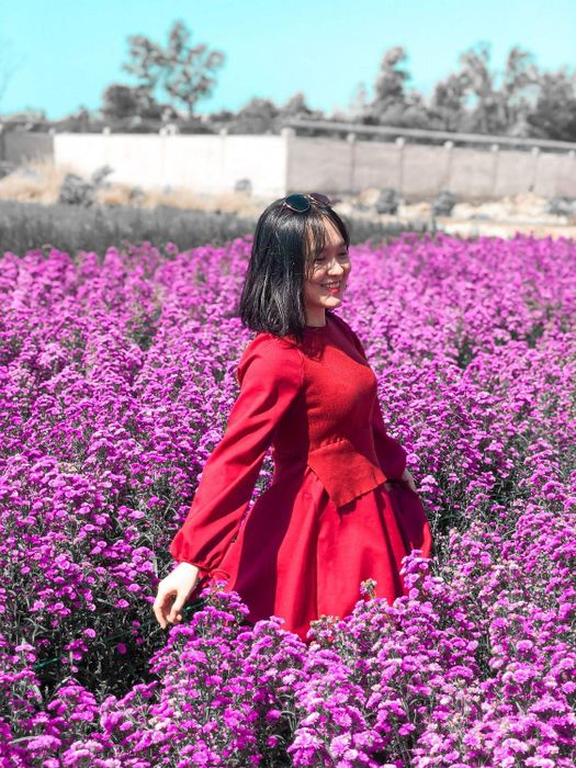 Một không gian tím mộng mơ nhẹ nhàng trải dài với sắc hoa thạch thảo ở Vũng Tàu 18