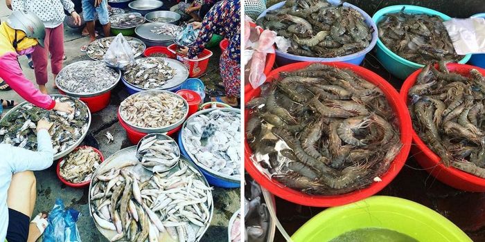 Thuộc lòng top 5 chợ hải sản Vũng Tàu để chứng minh sự hiểu biết về ẩm thực ngon lành! 12