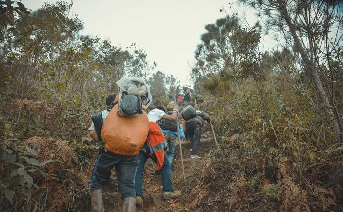 Ghim liền tay Kinh nghiệm trekking Tà Xùa - Yên Bái dành cho team mê phượt 5