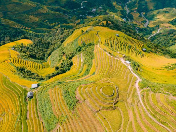 Khám phá Đồi Mâm Xôi Bé trên con đường du lịch Mù Cang Chải 2