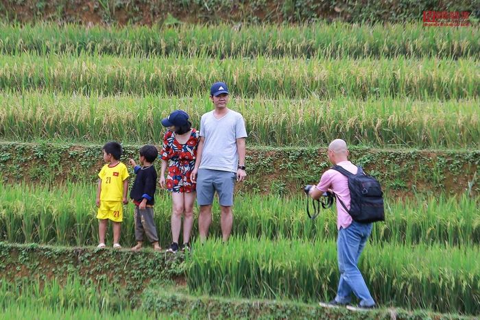 Đồi Mâm Xôi La Pán Tẩn - Điểm check-in hot nhất ở Yên Bái