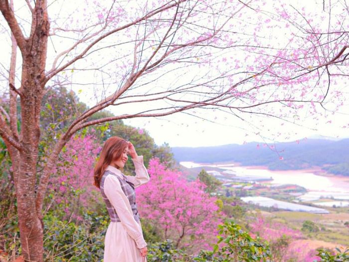 Đồi Con Heo Vũng Tàu - Điểm sống ảo nổi tiếng tại thành phố biển