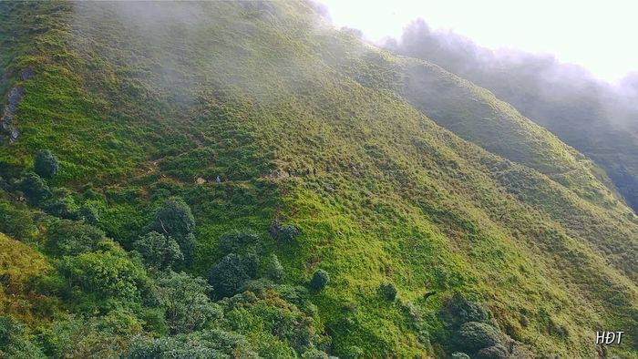 Đánh giá Tà Chì Nhù - Khám phá rừng hoa Chi Pâu tím ngất ngây 7