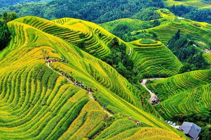 Đánh giá về Quế Lâm, một bức tranh thiên nhiên đẹp như tranh của Trung Quốc 6