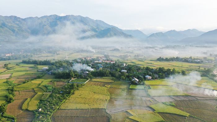 Cánh đồng Mường Lò - Vẻ đẹp tuyệt vời của vùng đất Nghĩa Lộ