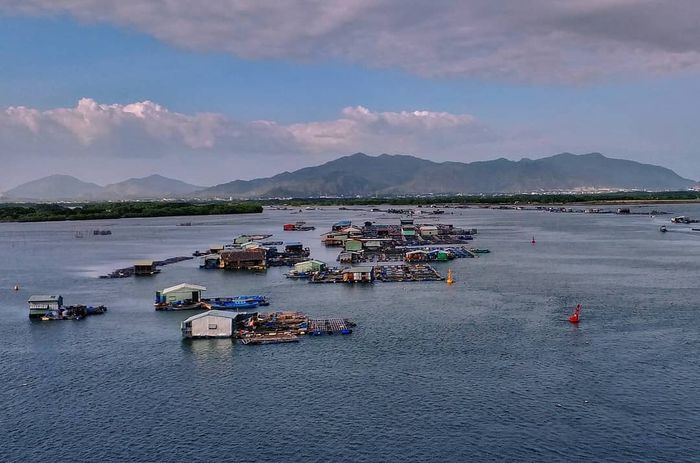 Lịch trình khám phá đảo Long Sơn trong một ngày - Trải nghiệm cuộc sống của ngư dân trong làng bè 9